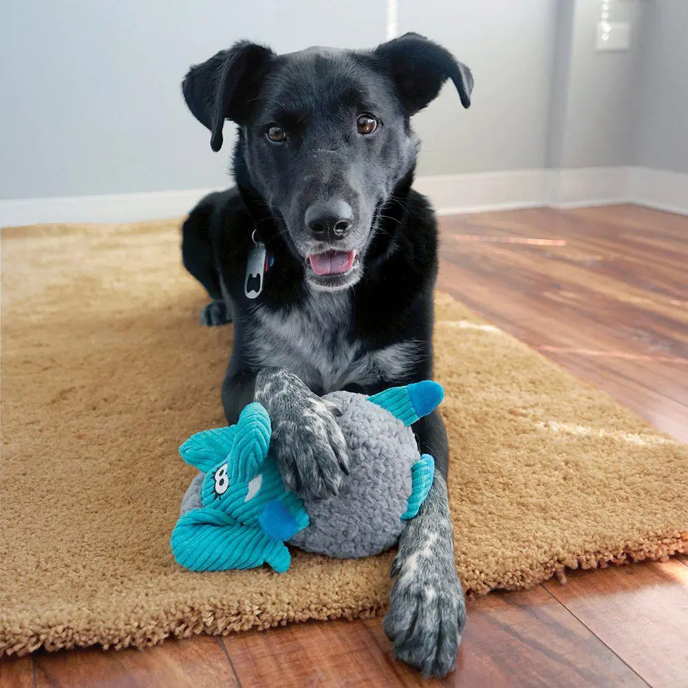 Kong Sherps Floofs Big Horn M - sjov bamse til mellemstore hunde